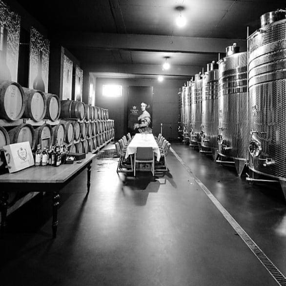 Wine Hotel Cesarica Međugorje エクステリア 写真